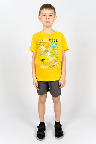 Костюм с шортами для мальчика 4292 (футболка + шорты)
