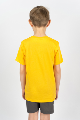 Костюм с шортами для мальчика 4292 (футболка + шорты)