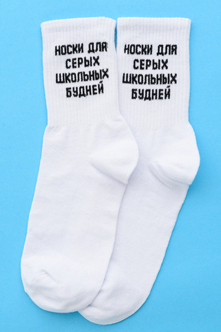 Носки стандарт мужские Школьные будни (набор 3 пары)