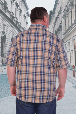 Мужская рубашка с воротником 46002