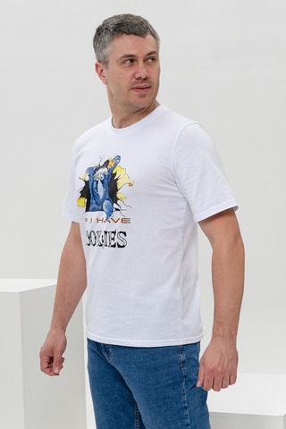 Мужская футболка 18034