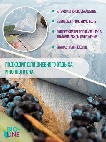 Подушка декоративная Bio-Line с лузгой гречихи PG40. 60