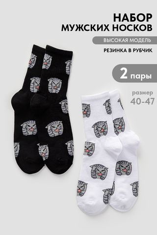 Носки стандарт мужские Драматик кот (набор 2 пары)