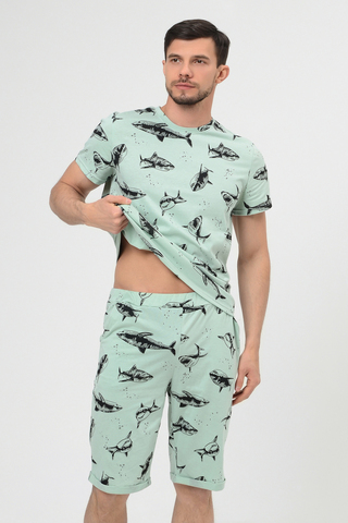Пижама с шортами мужская 70052
