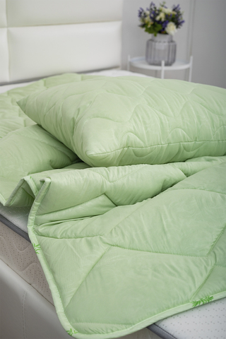 Набор постельных принадлежностей Дачный (одеяло 1, 5сп+подушка 50х70см)